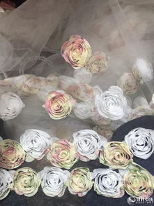 服装面辅料专区品牌 摄影 打版 跟单 平面 创业 市场 管理 历史专营各种电脑绣花面料